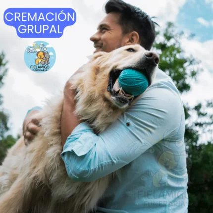 Cremación Grupal - Servicio Excequial Para Mascotas [ En tu Domicilio Gratis ]
